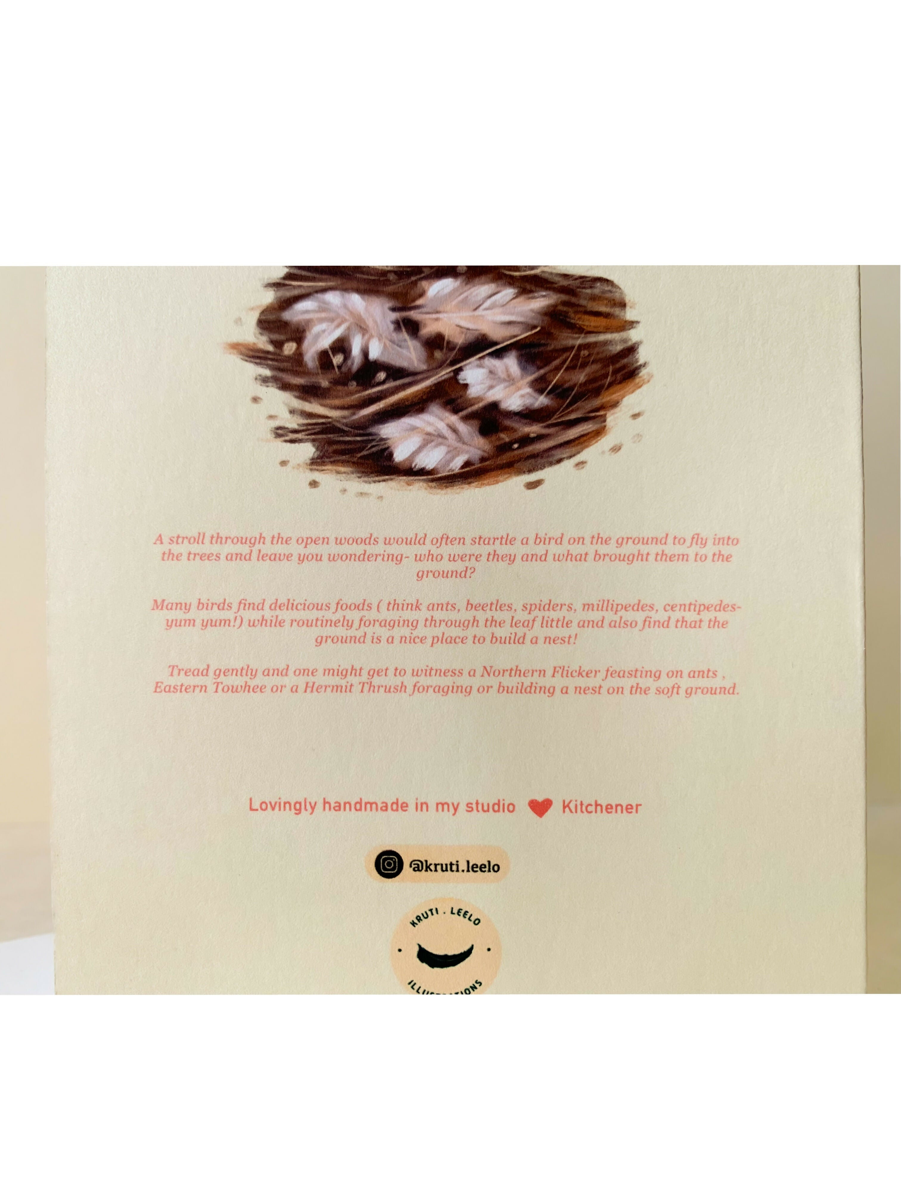 Woodland ground foragers | Notecard