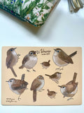 Wrens Vinyl Sticker Sheet