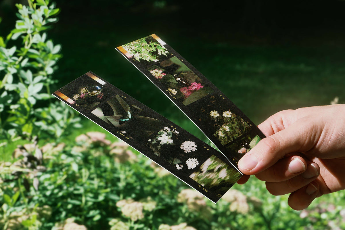 Film Butterfly Bookmark