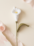 White Calla Lily