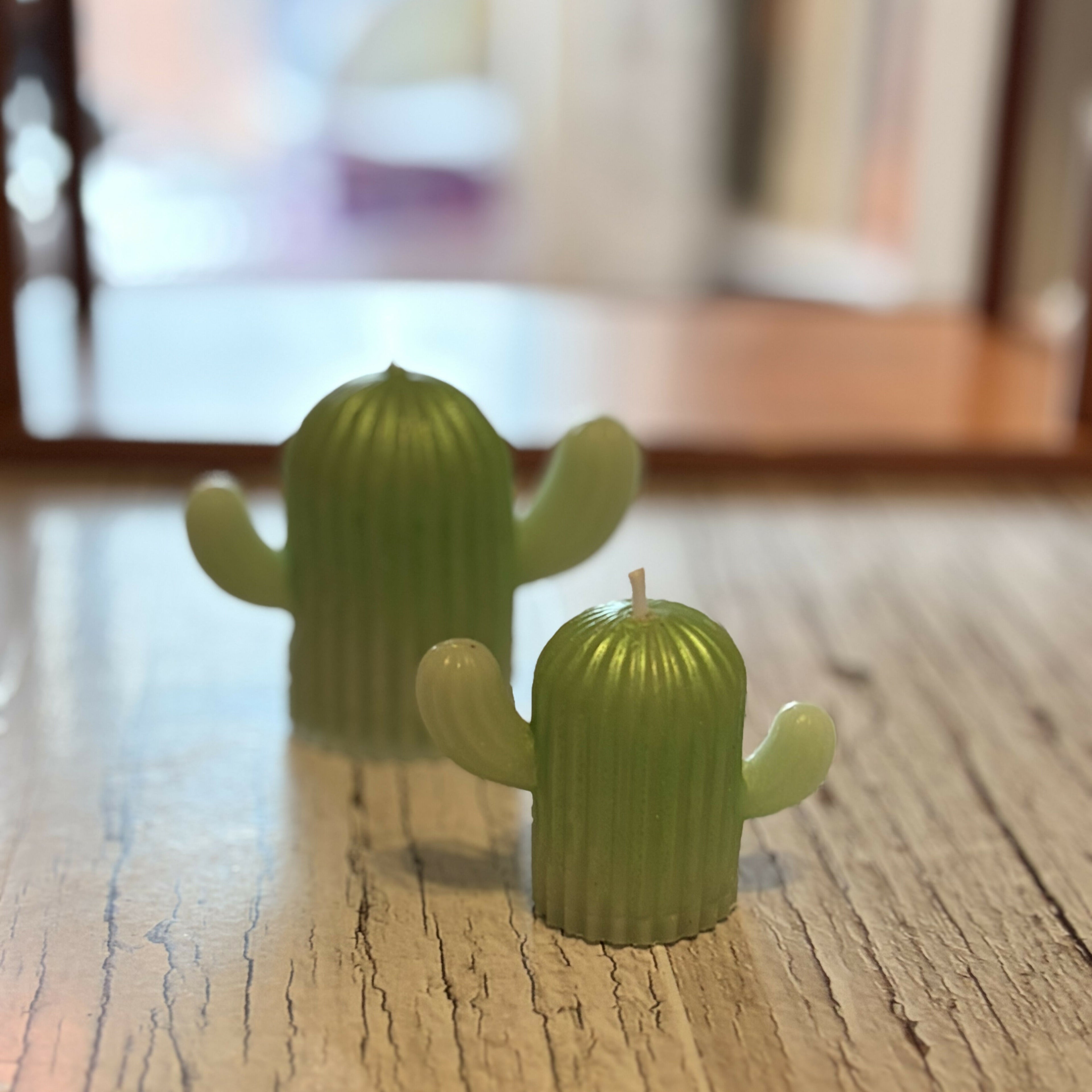 Cactus Pillar Candle Pack