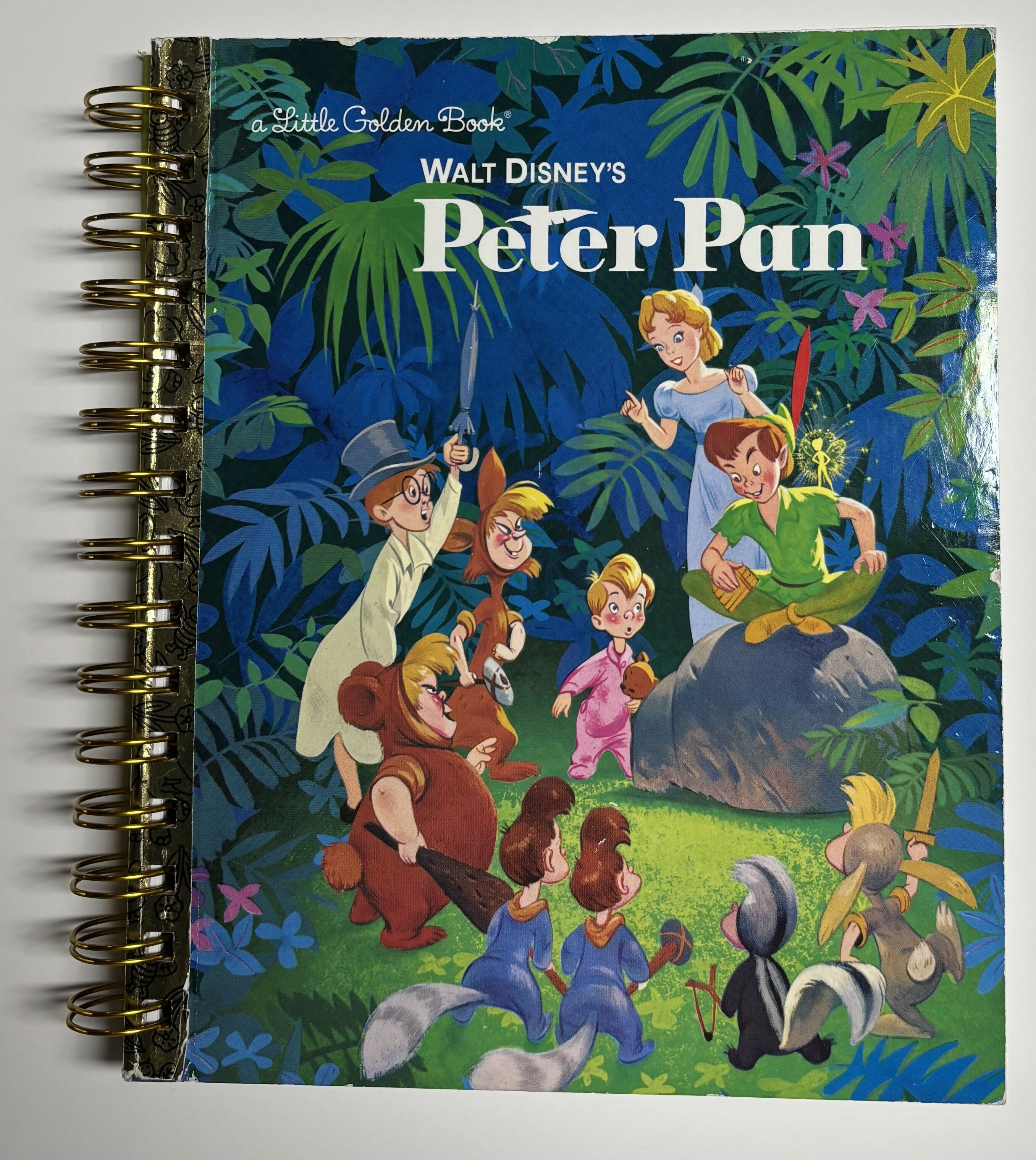 Peter Pan LGB Journal