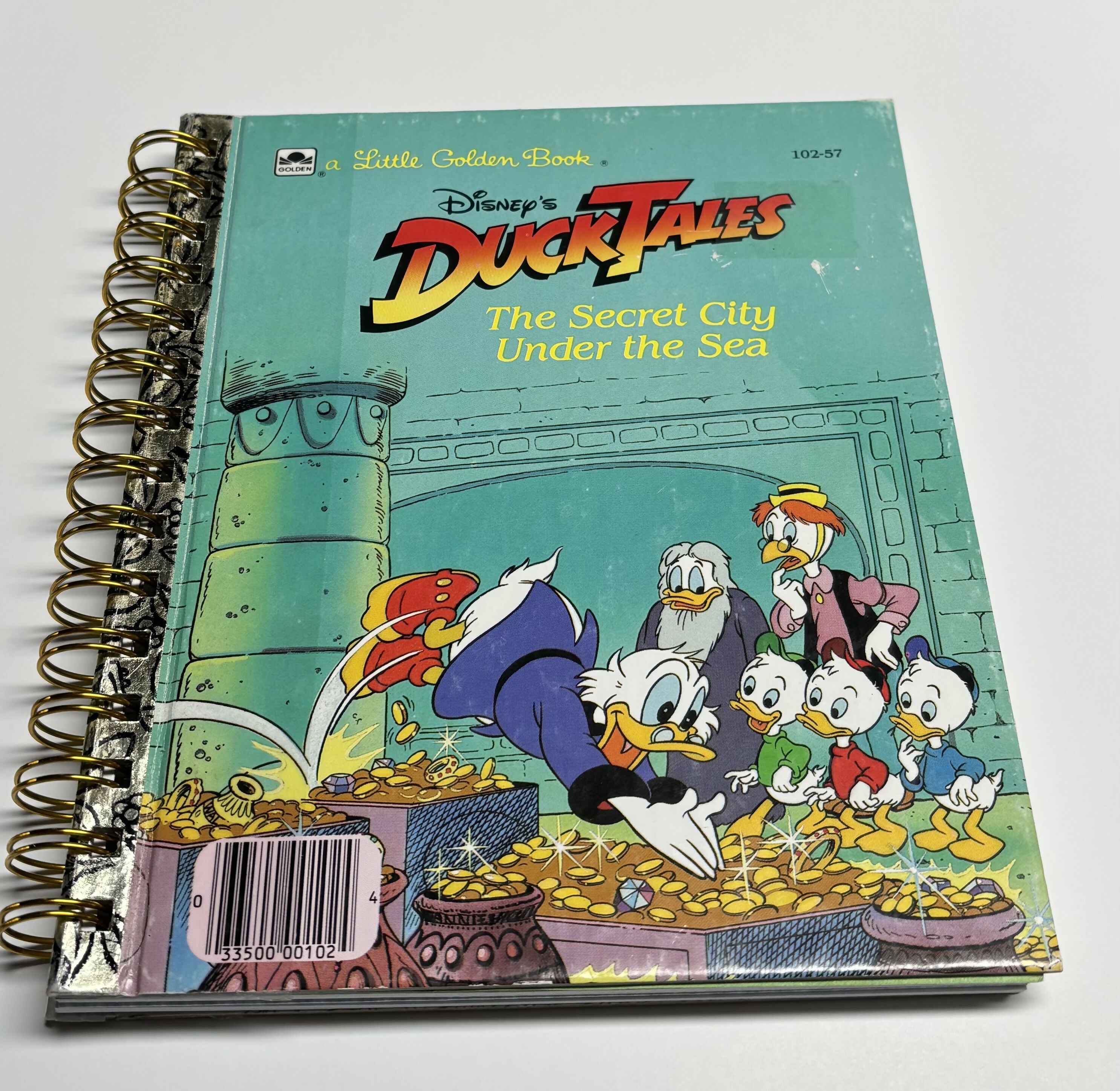 Duck Tales LGB Journal