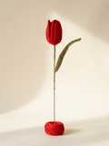 Red Tulip