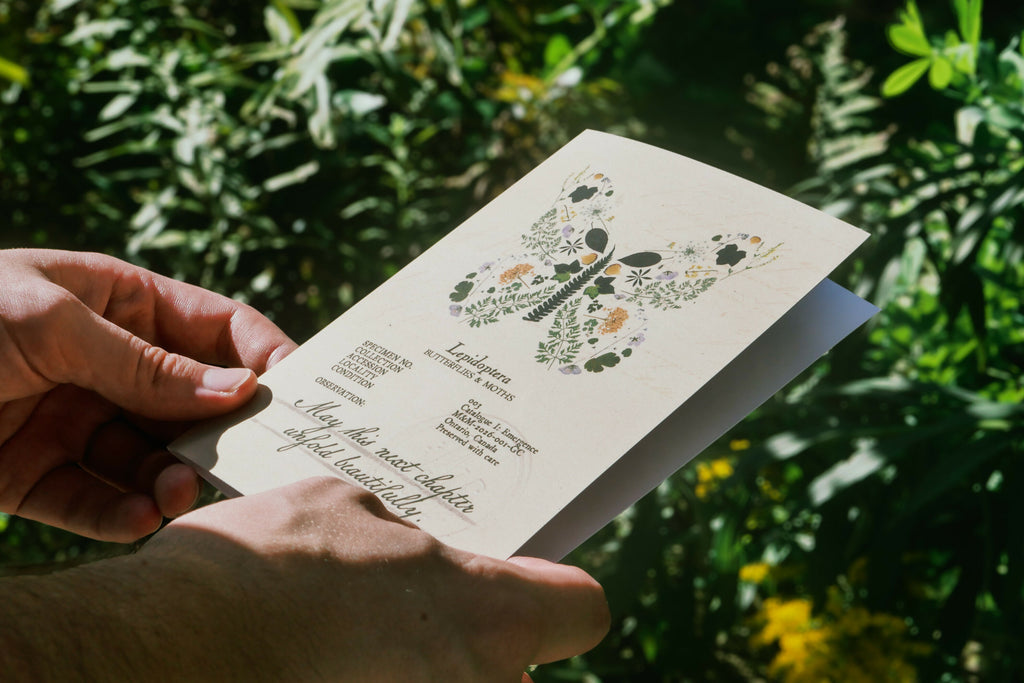 Floral Bug Greeting Cards