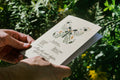Floral Bug Greeting Cards