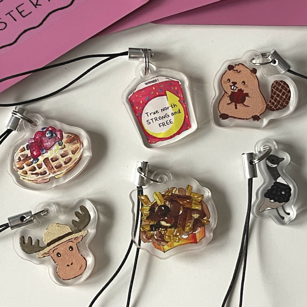Mystery Bag - Canadian Charms