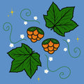 Salmon Berries and Stars Stickers