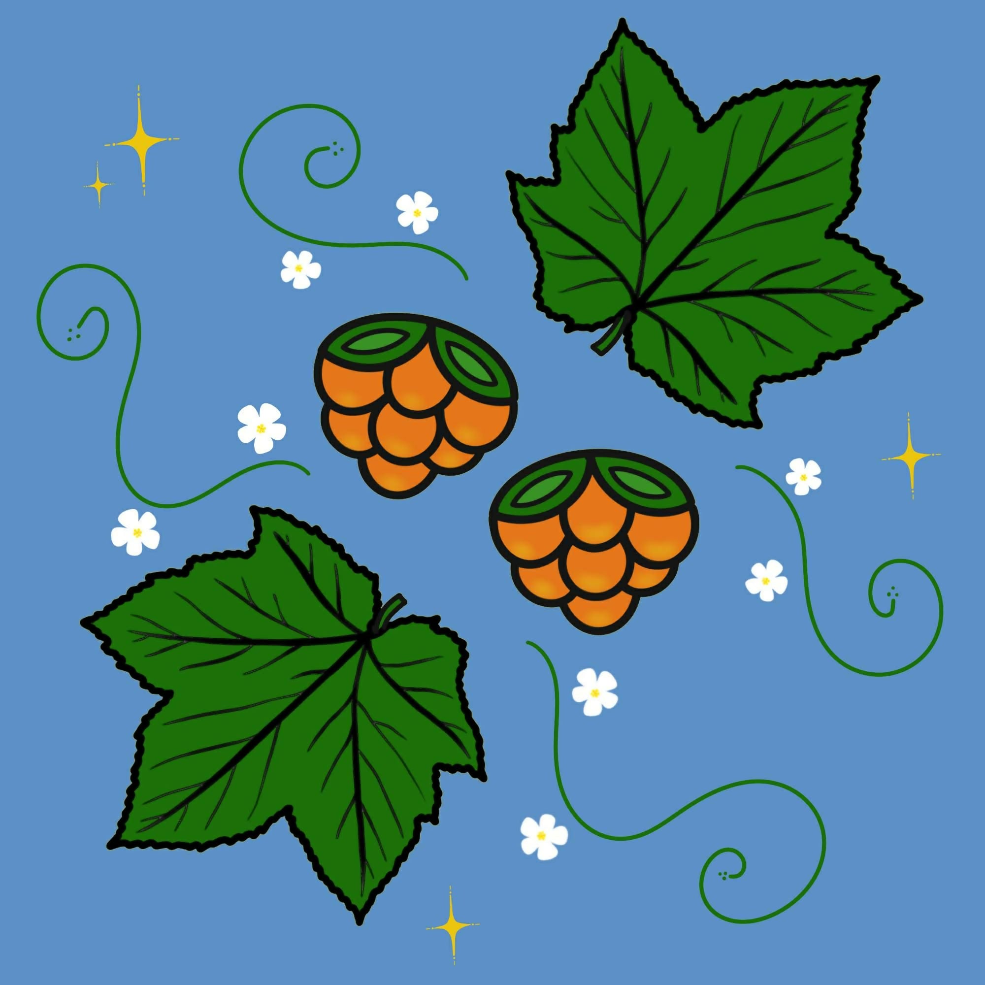 Salmon Berries and Stars Stickers