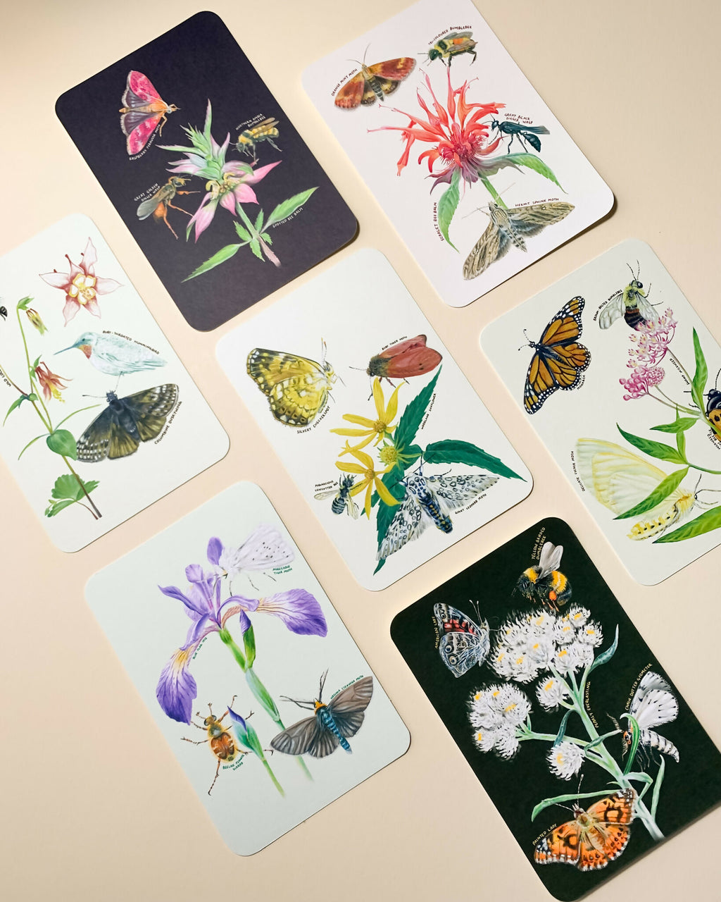Native plants & associates | postcard set (8pk)