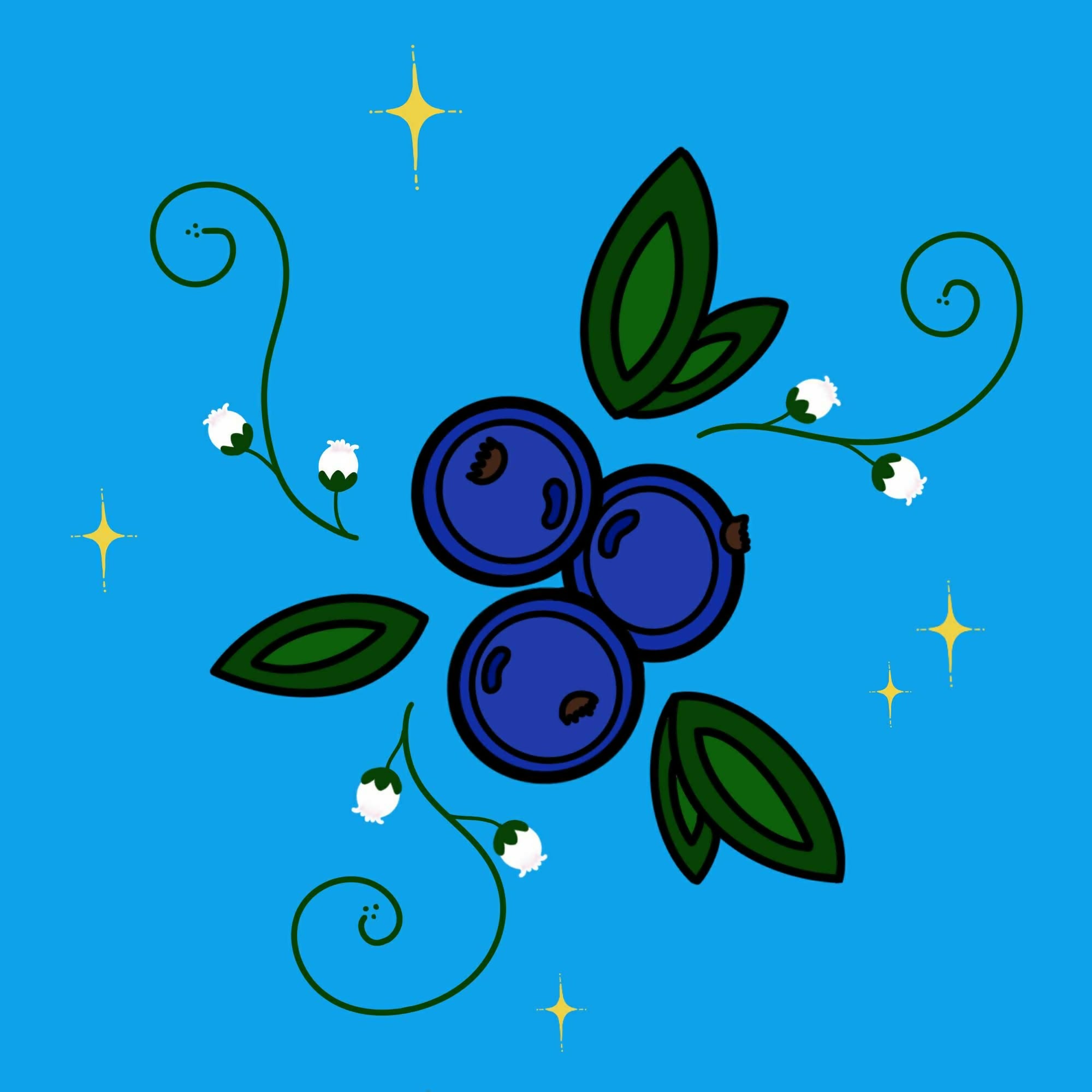 Blueberry and Stars Stickers