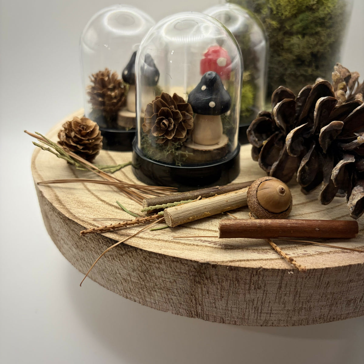 Mini Terrarium/ Black Polka