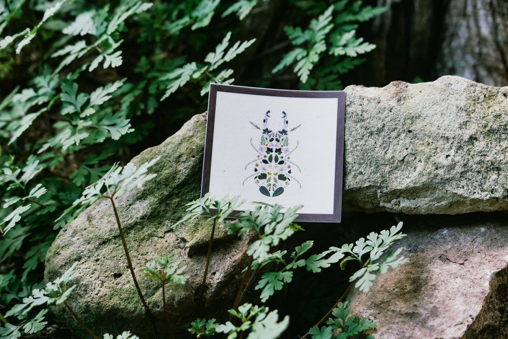 Floral Bug Sticker