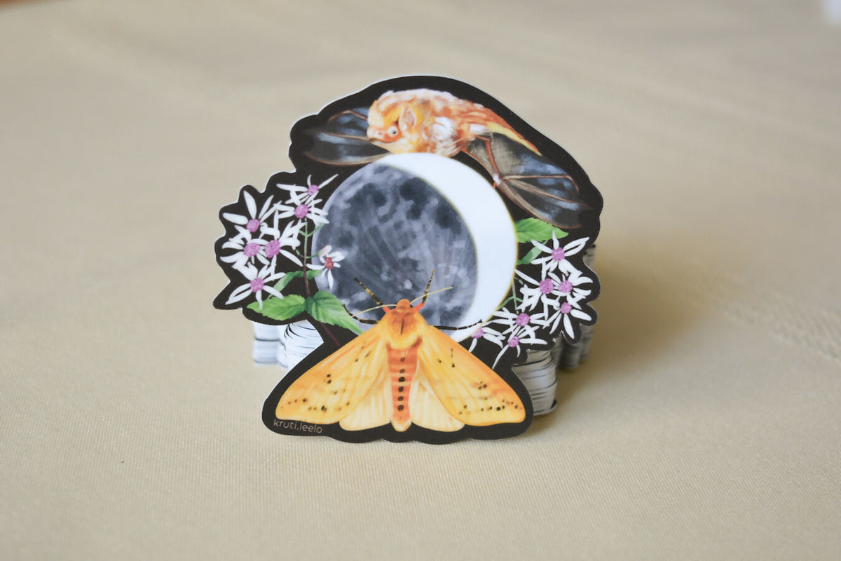 Tiger moth & brown bat | Vinyl sticker
