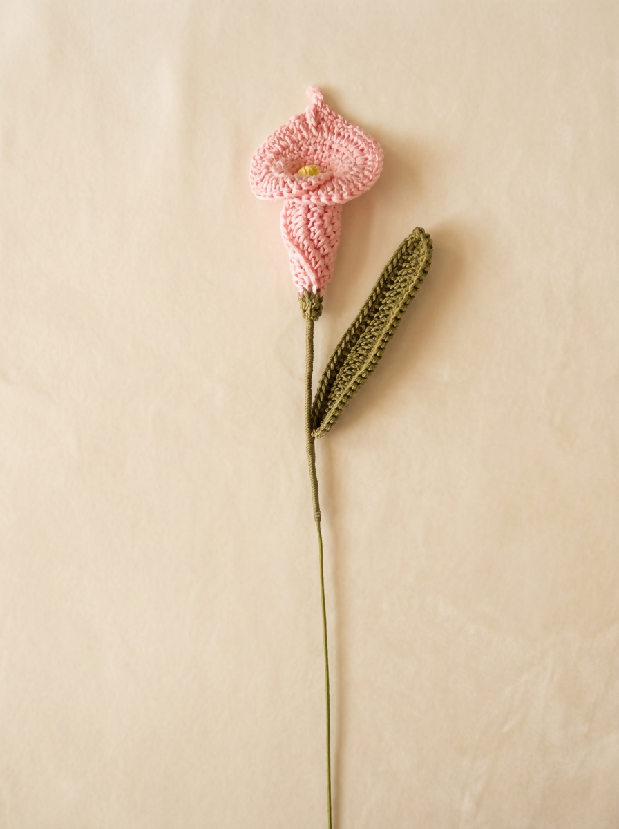 Light Pink Calla Lily