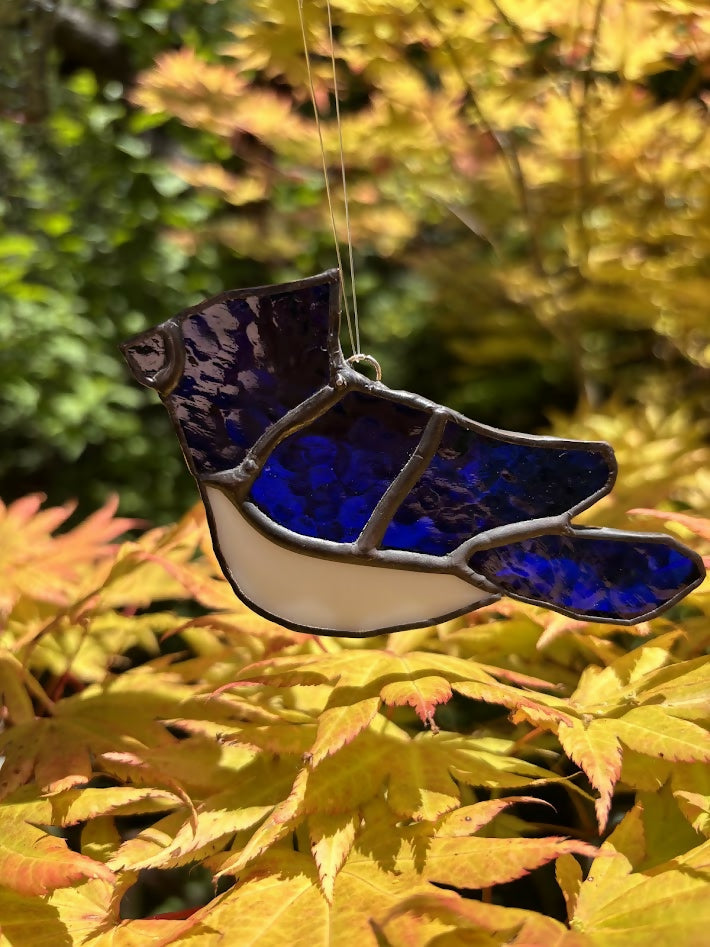 Blue Bird