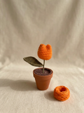 Orange Potted Tulip