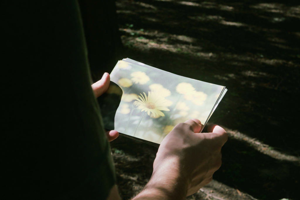 Nature Photography Postcard