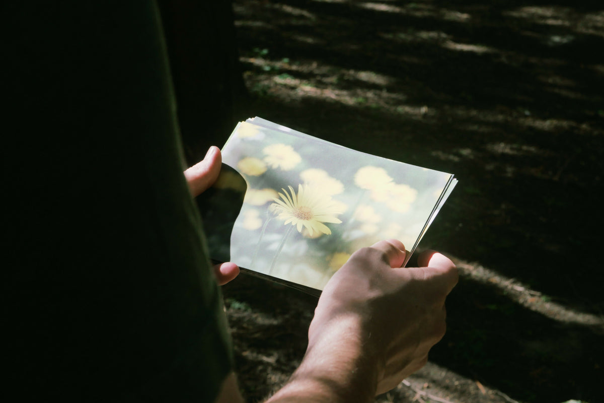Nature Photography Postcard