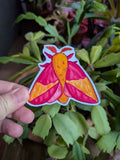 Rosy Maple Moth Vinyl Sticker
