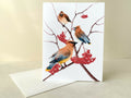 A feast for Cedar waxwings