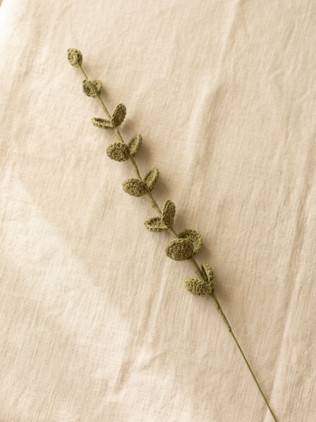 Green Eucalyptus