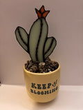 Flowering Cactus