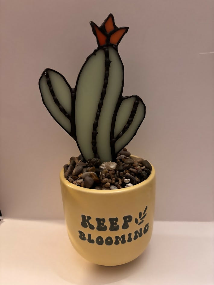 Flowering Cactus
