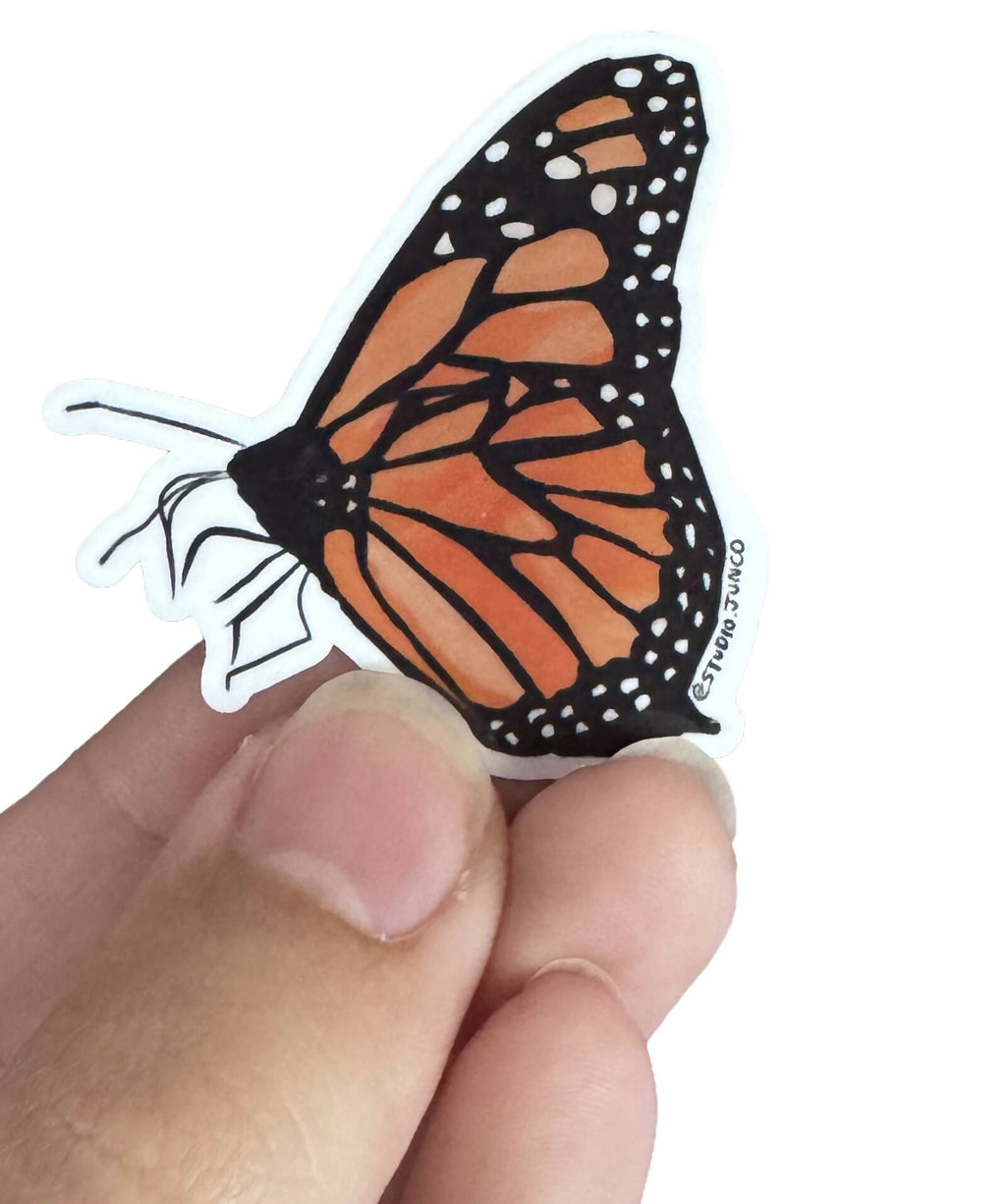 Ontario Butterflies Vinyl Stickers