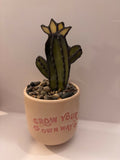 Small Flowering Cactus