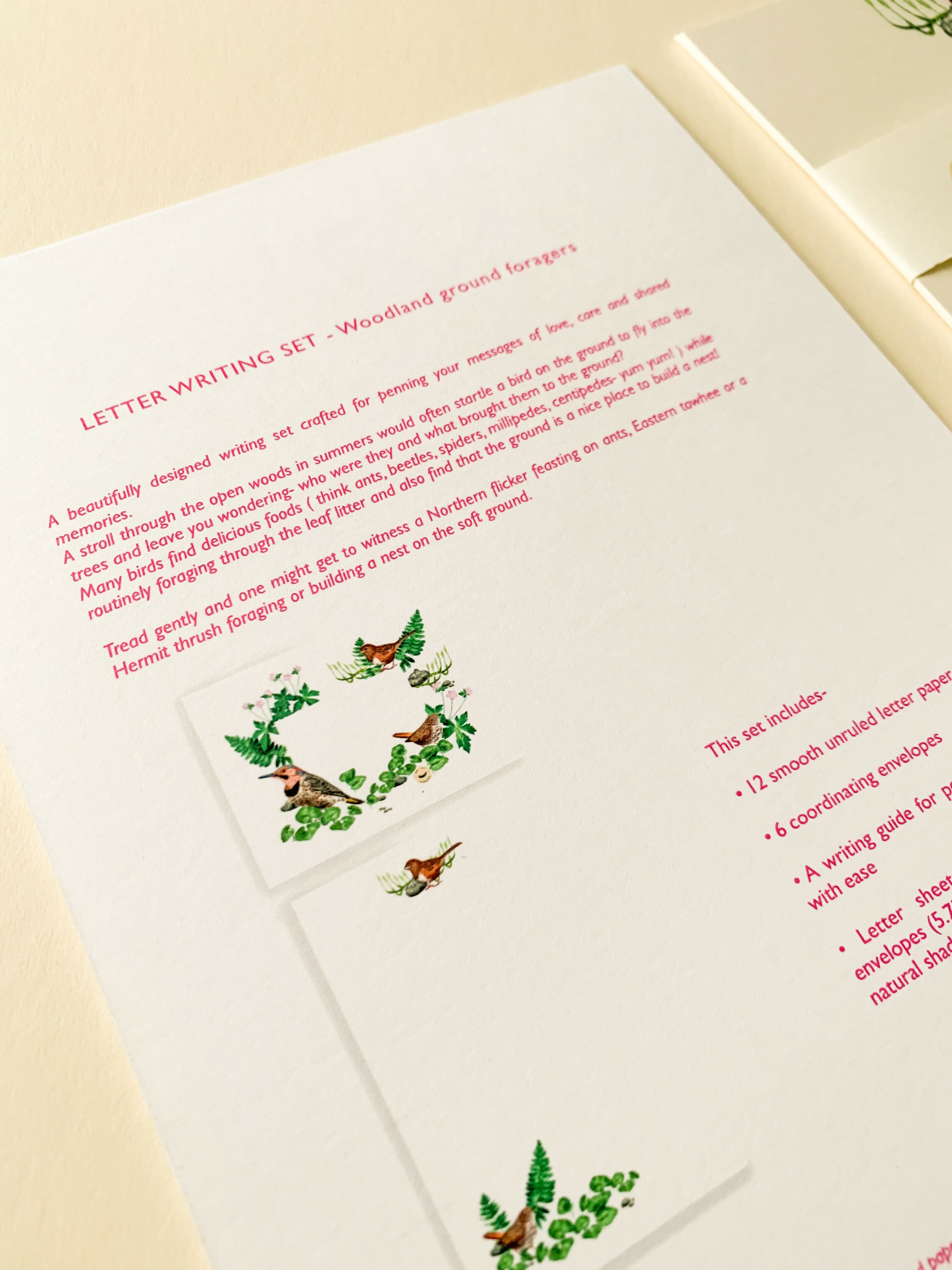 Woodland ground foragers | Letter writing set