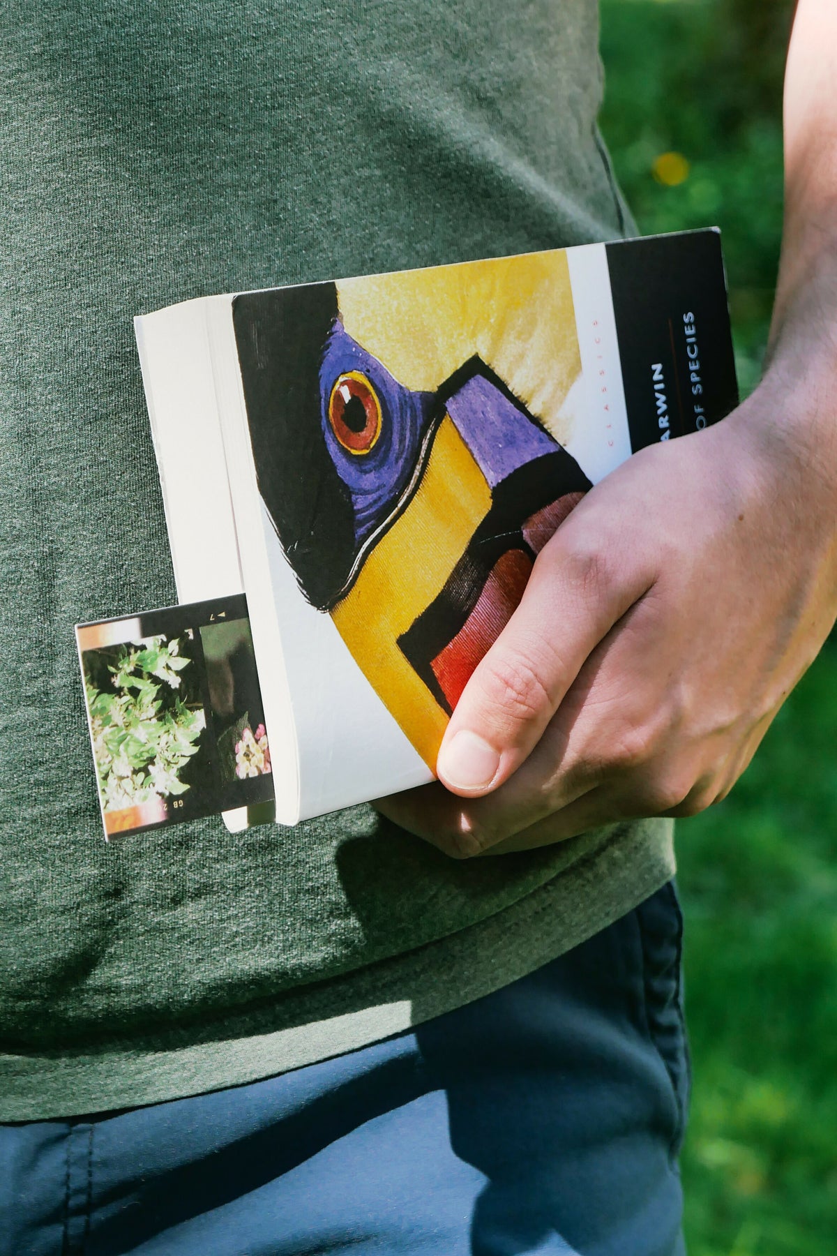 Film Butterfly Bookmark