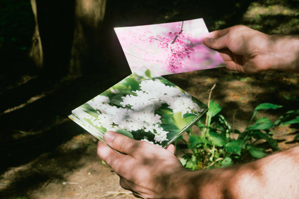 Nature Photography Postcard