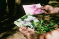 Nature Photography Postcard