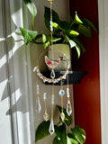 Pressed Flower Petals Suncatcher