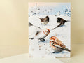 Arctic visitors | greeting card