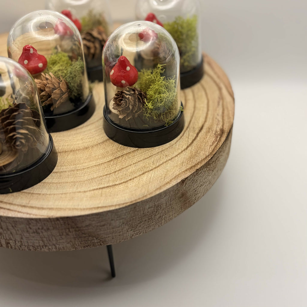 Mini Terrarium