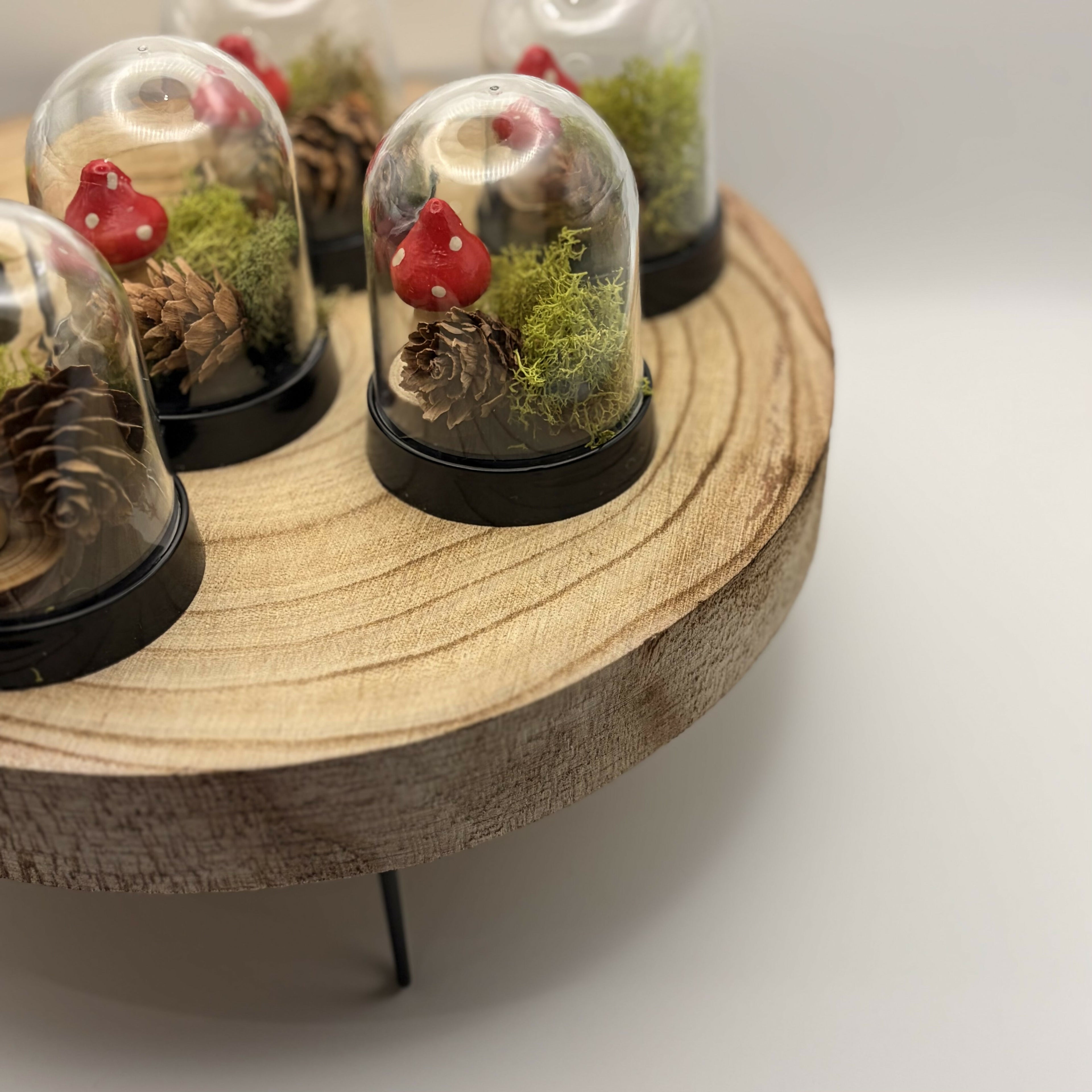 Mini Terrarium