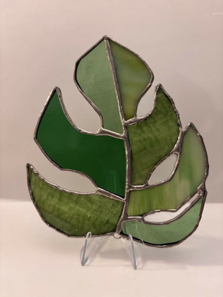Monstera Leaf