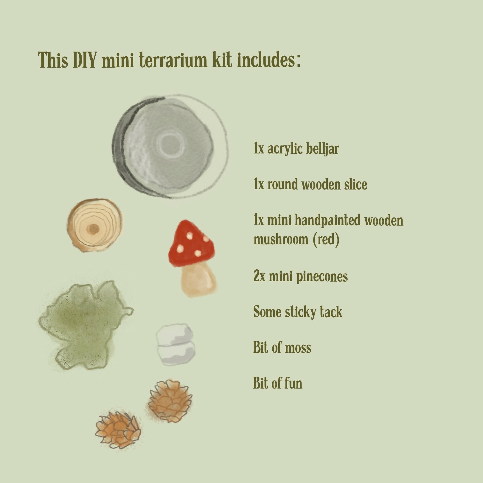 Mini Terrarium Kit