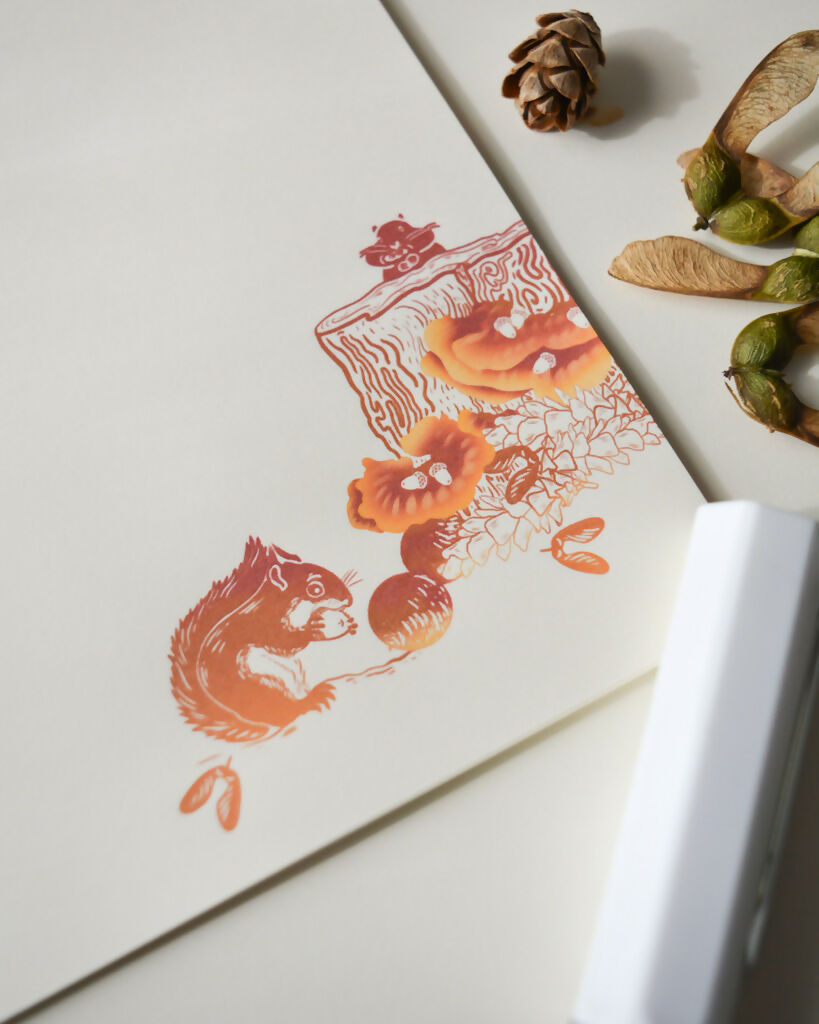 Squirrels, seeds & samaras | Letter writing set