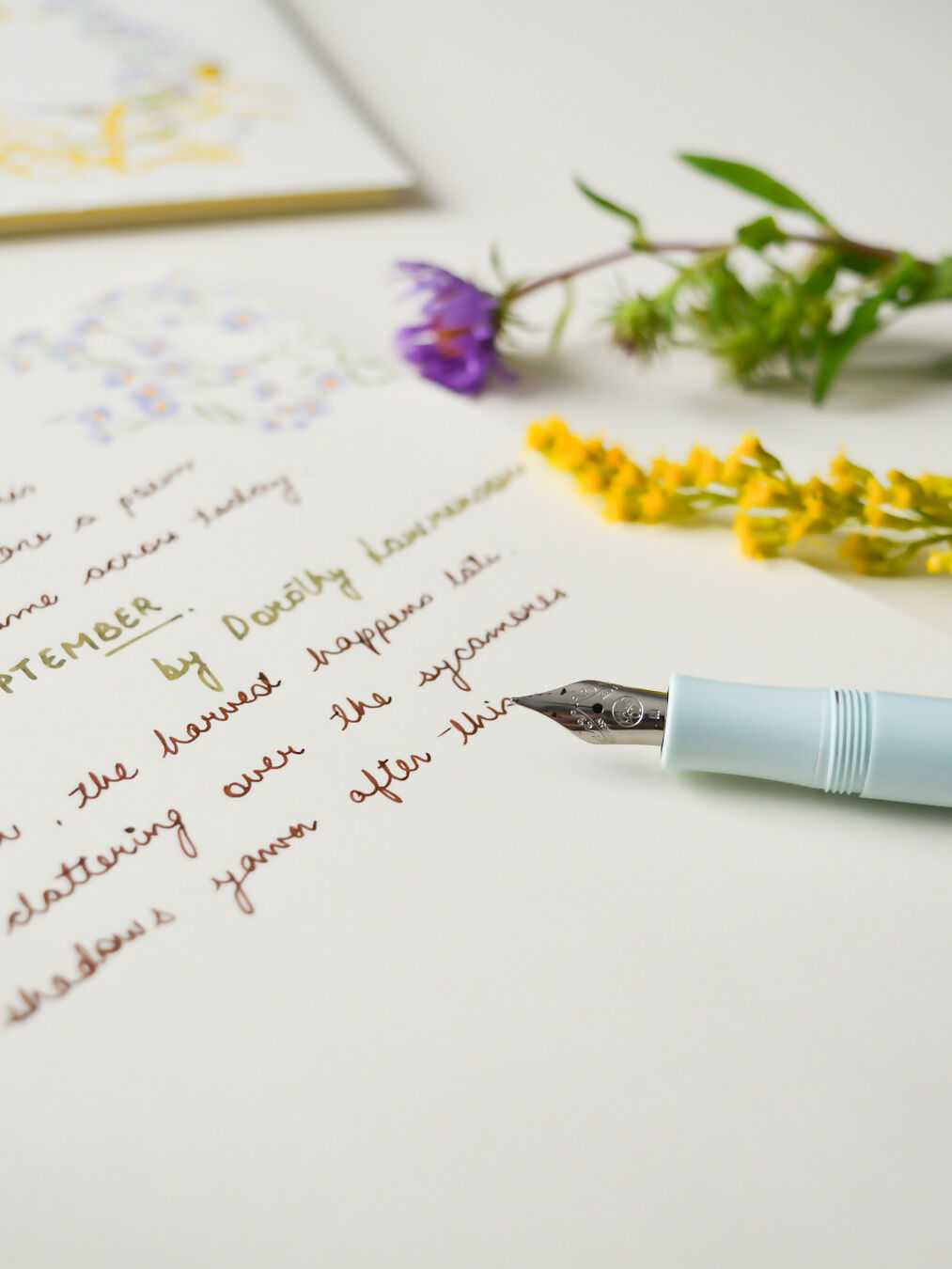 Goldenrods & Asters | Letter writing set