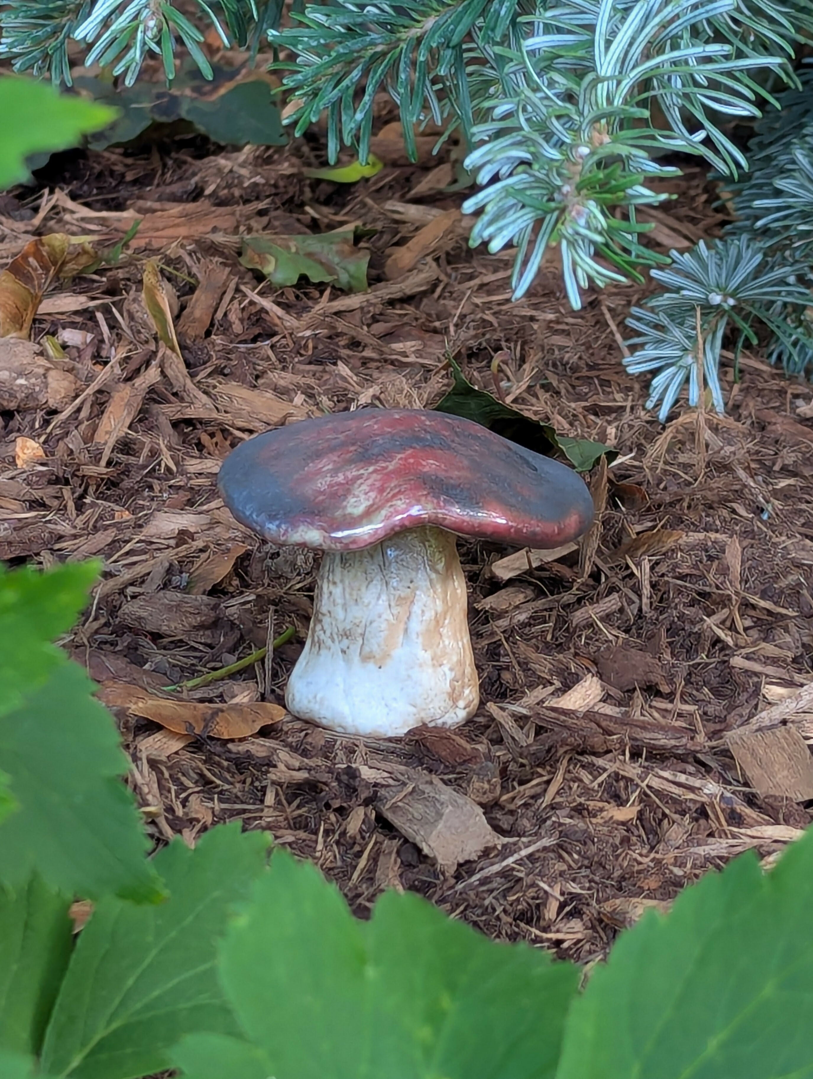 Ceramic Mushroom
