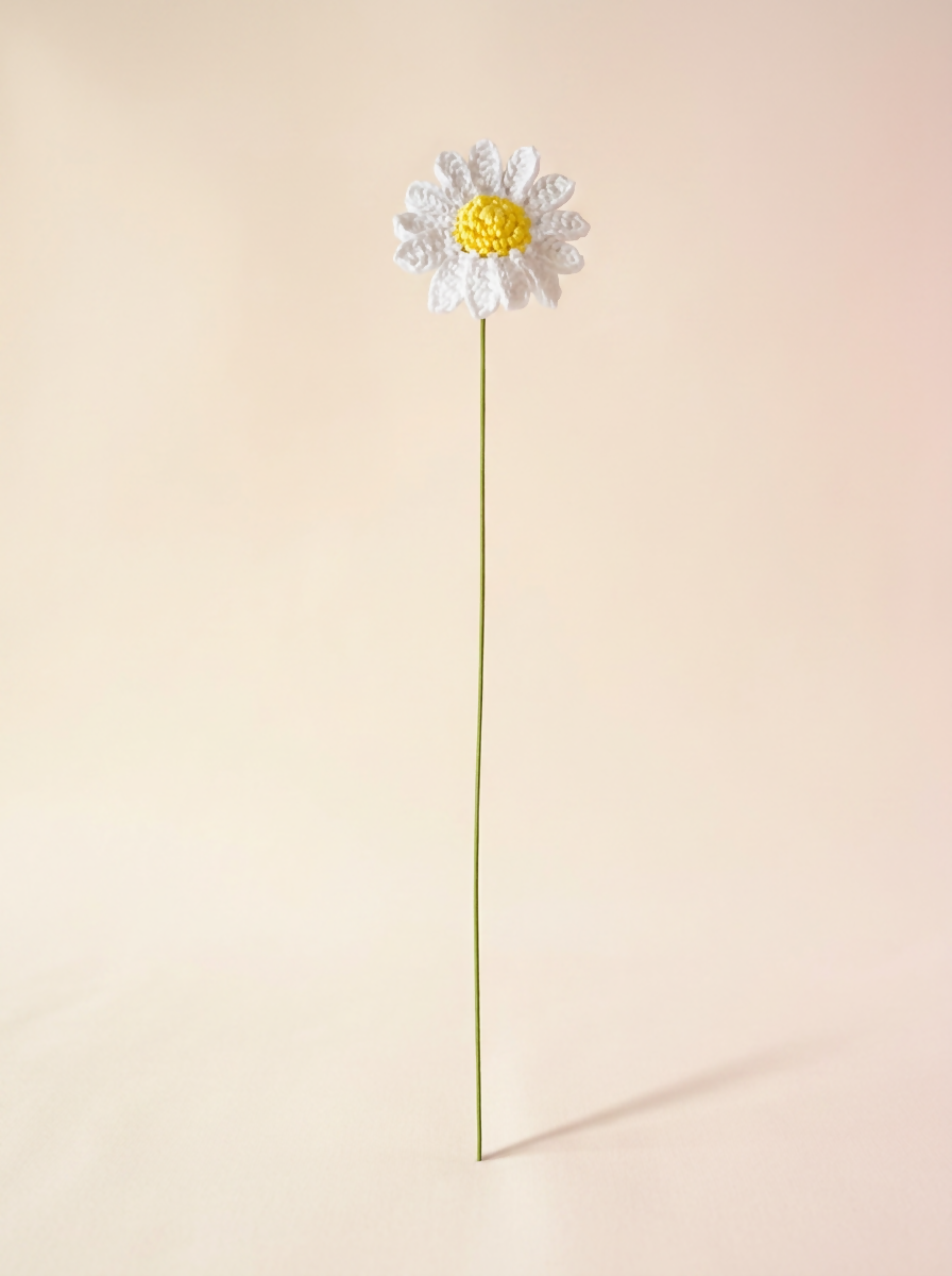 Daisy