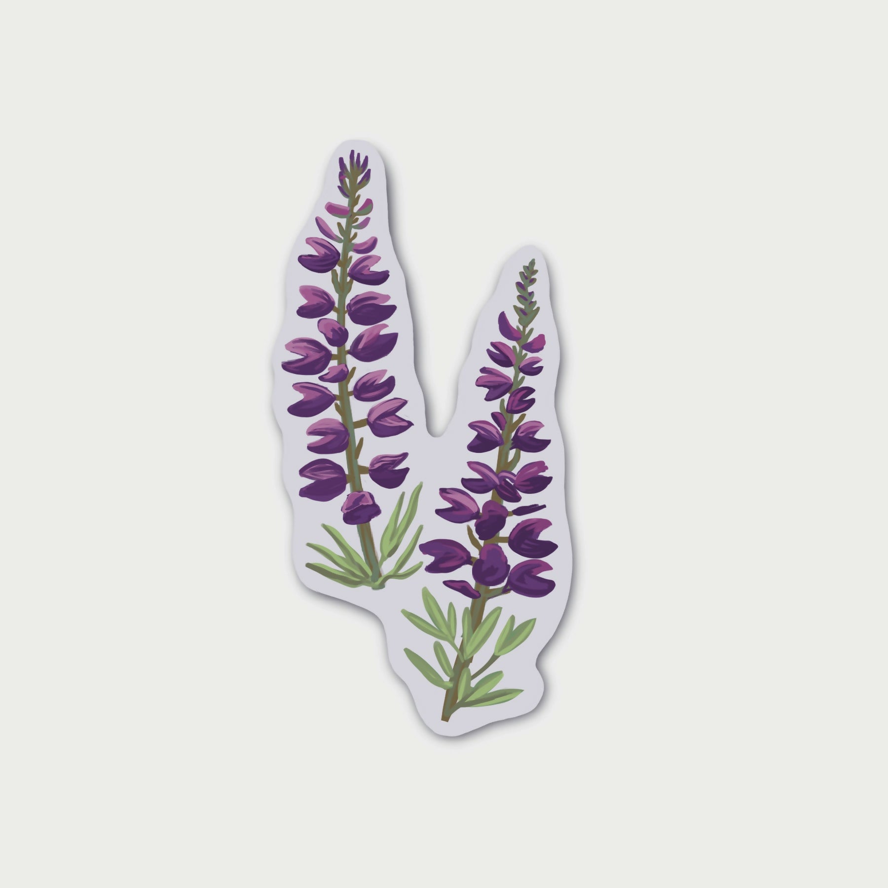 Lupine Sticker