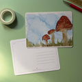 Postcard - Les Trois Champignons