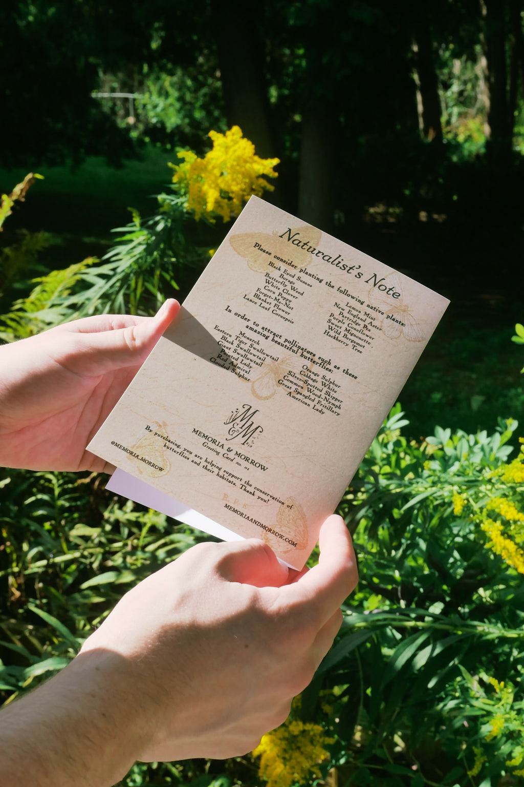 Floral Bug Greeting Cards