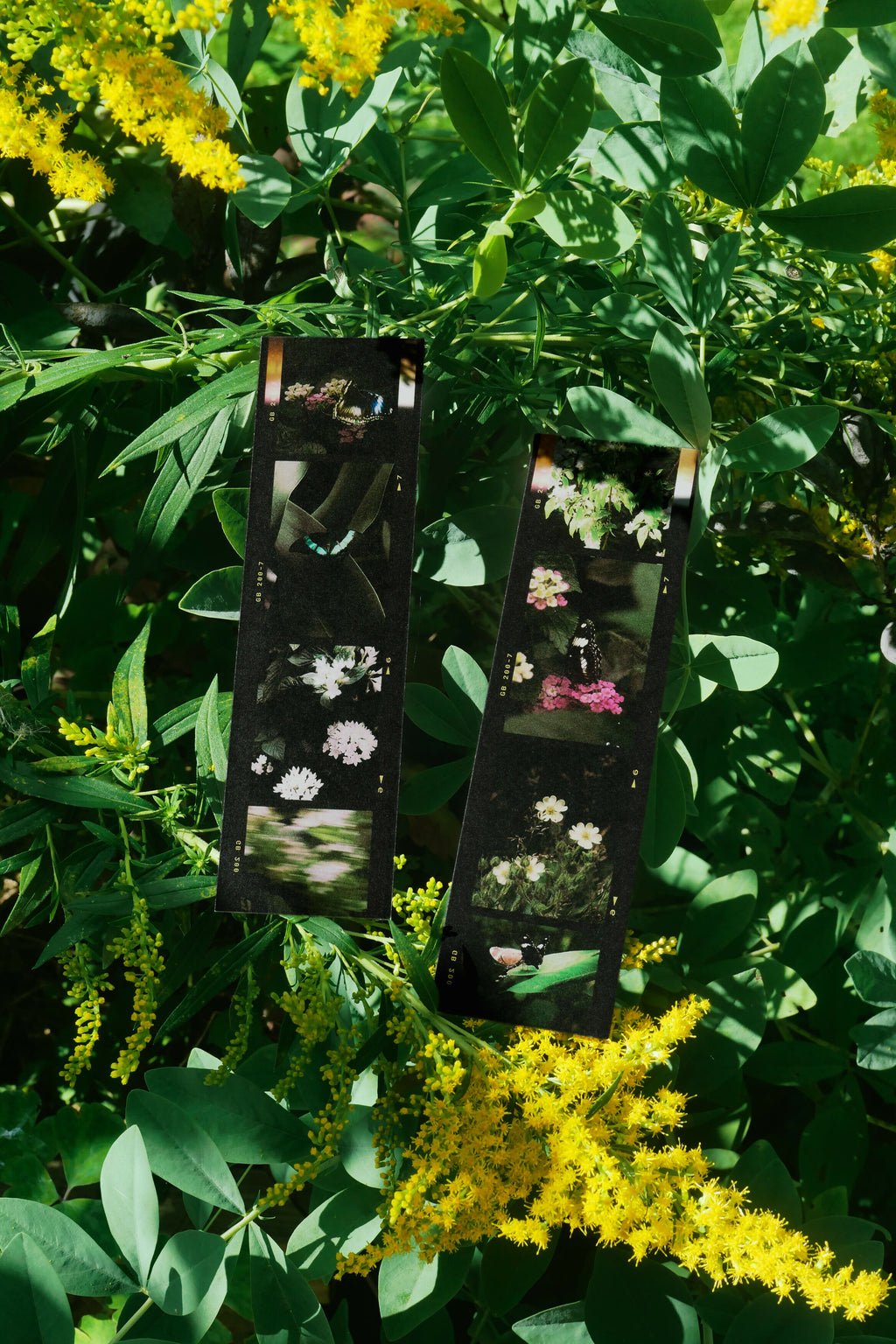 Film Butterfly Bookmark