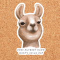 What's Going On? Alpaca Sticker