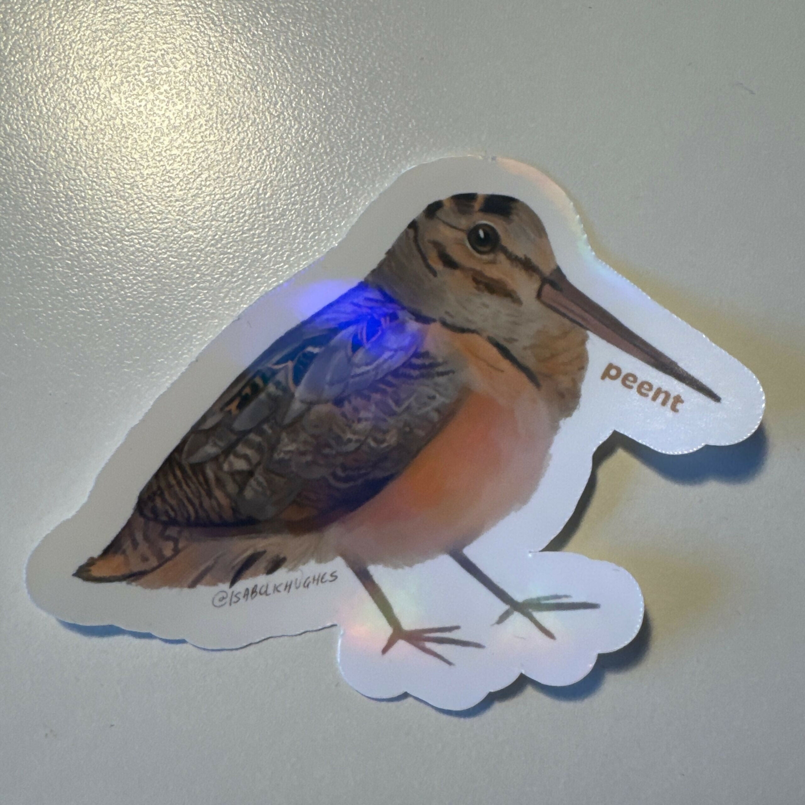 American Woodcock Peent Vinyl Sticker